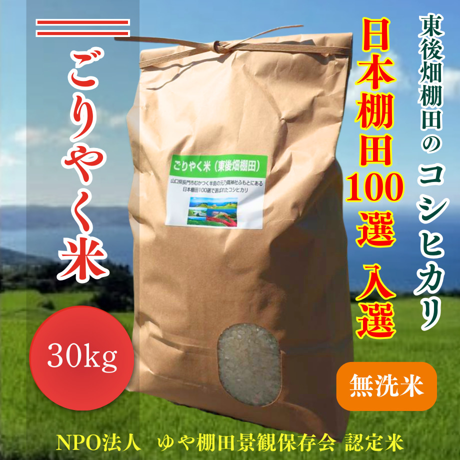 販売開始【2024年（令和６年）新米】　ごりやく米（東後畑棚田こしひかり）　無洗米（30kg）業務用