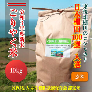棚田こしひかり「ごりやく米」10kg 玄米