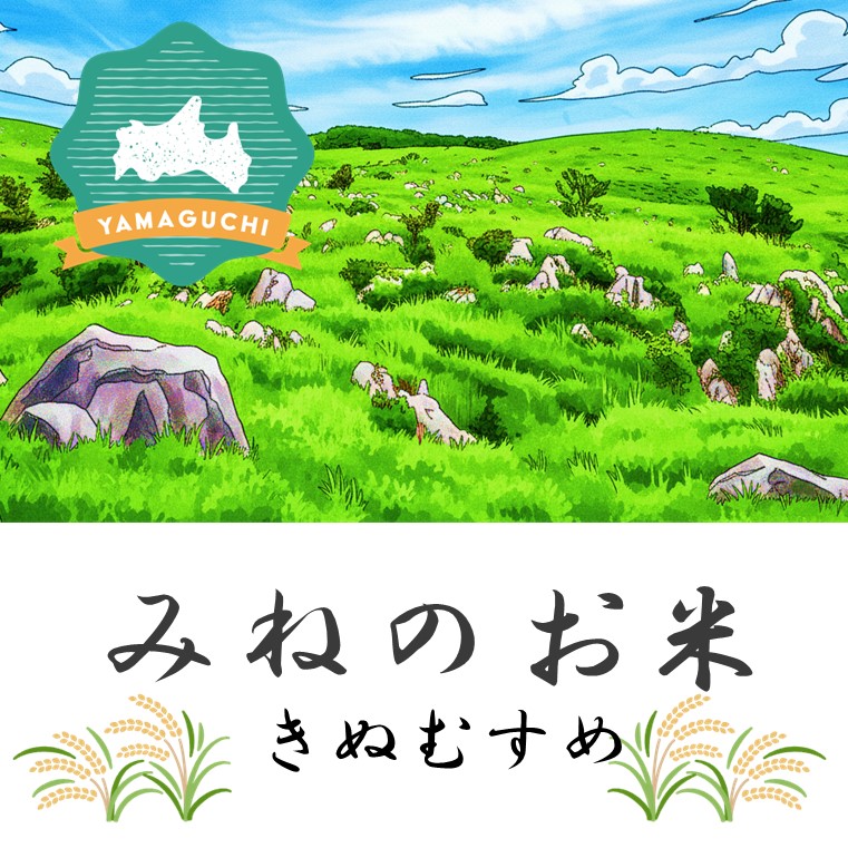 みねのお米_きぬむすめ